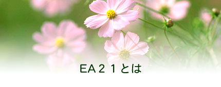 エコアクション21認証・登録機関